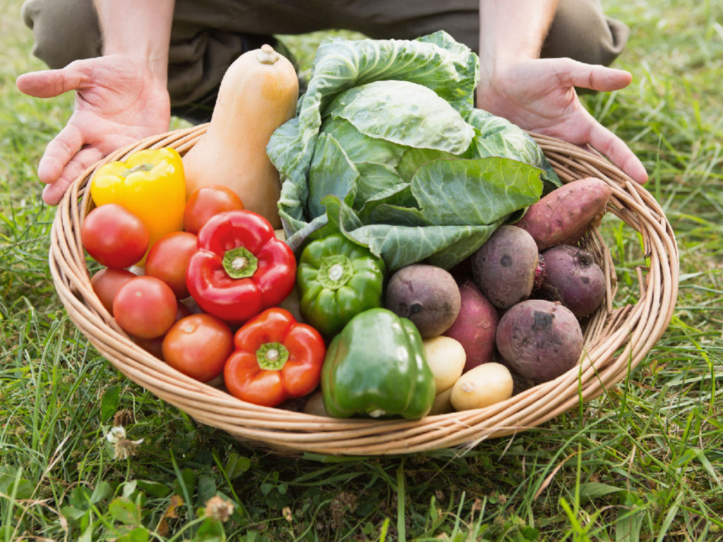 Viel Obst und Gemüse gehört zu einer gesunden und ausgewogenen Ernährung besonders im Winter