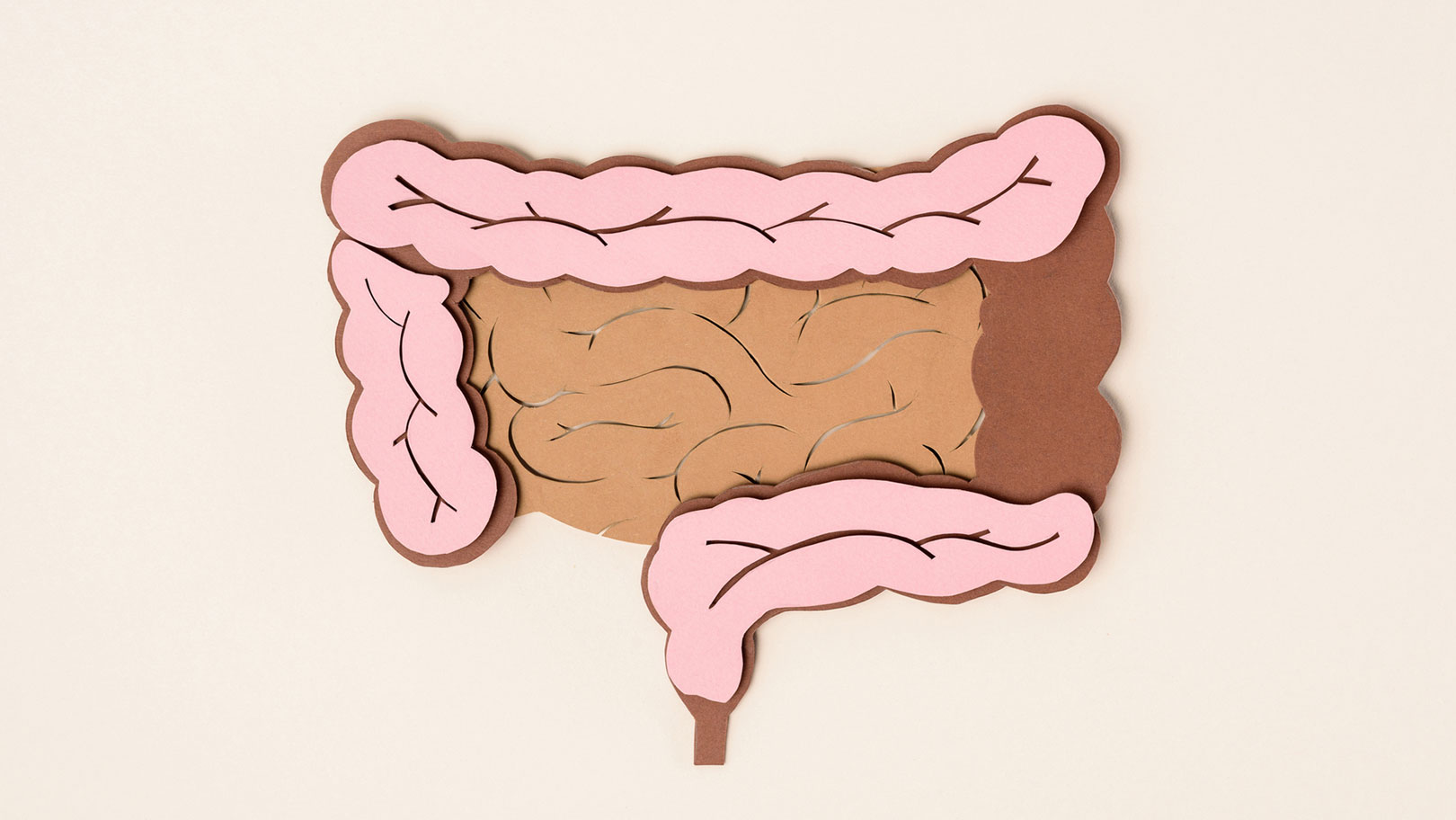 Gute und schlechte Bakterien in deinem Darm
