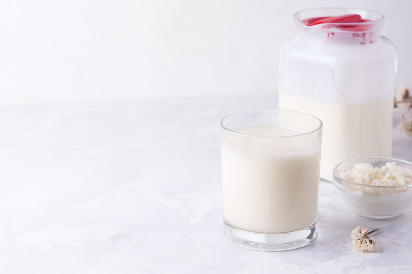 fermentierter Kefir