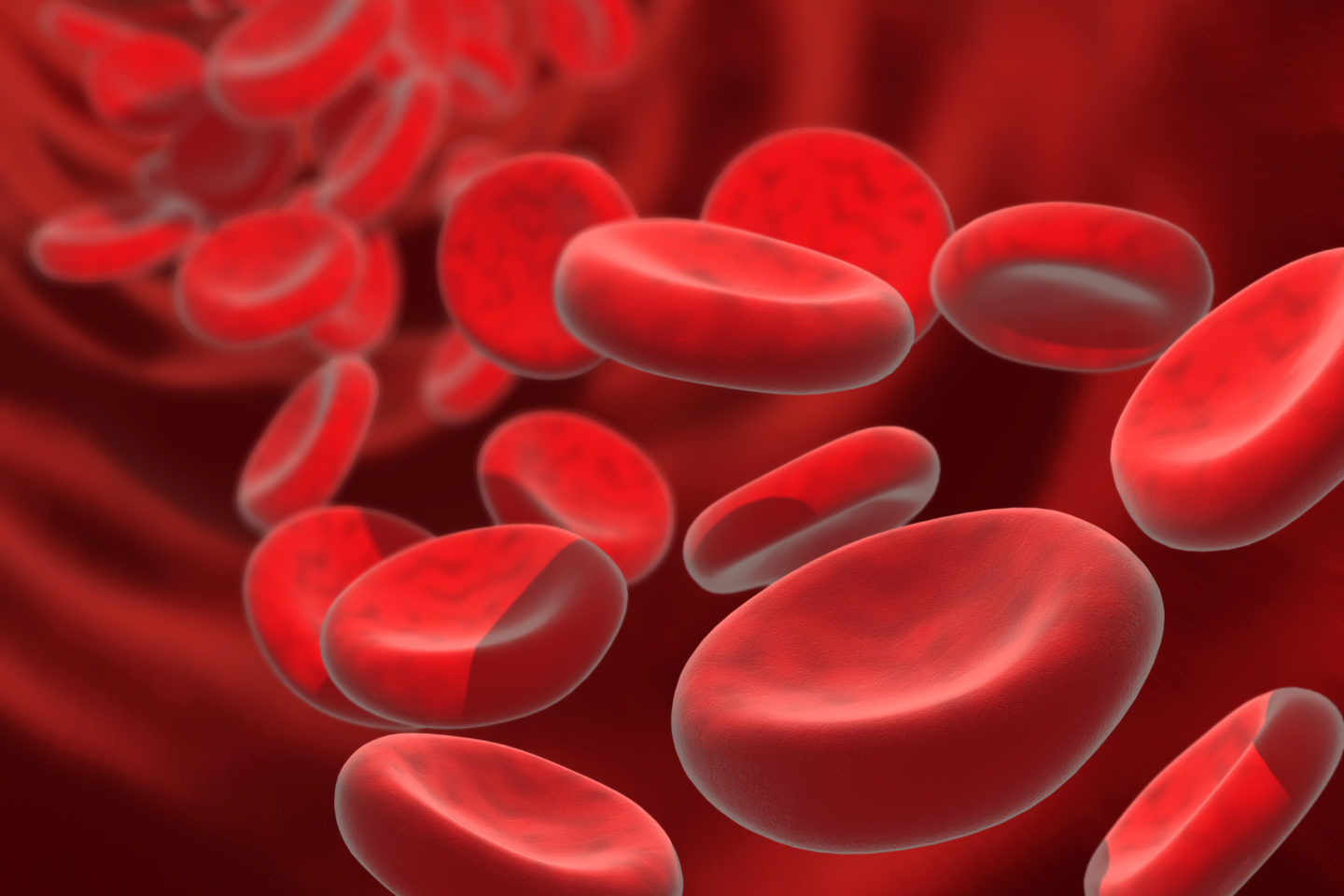 Blut Zellen