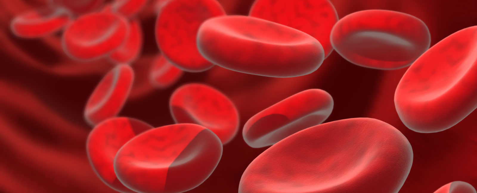 Blut Zellen