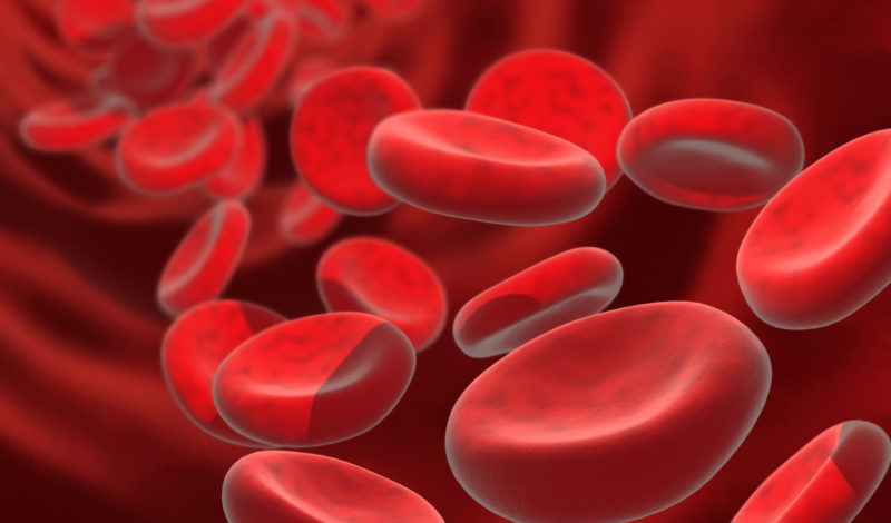 Blut Zellen