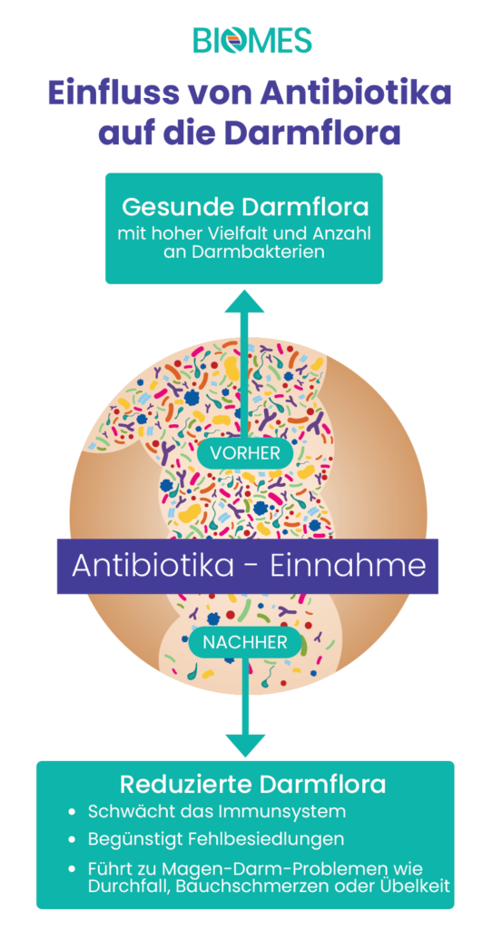 Übersicht: Antibiotika und Darmflora