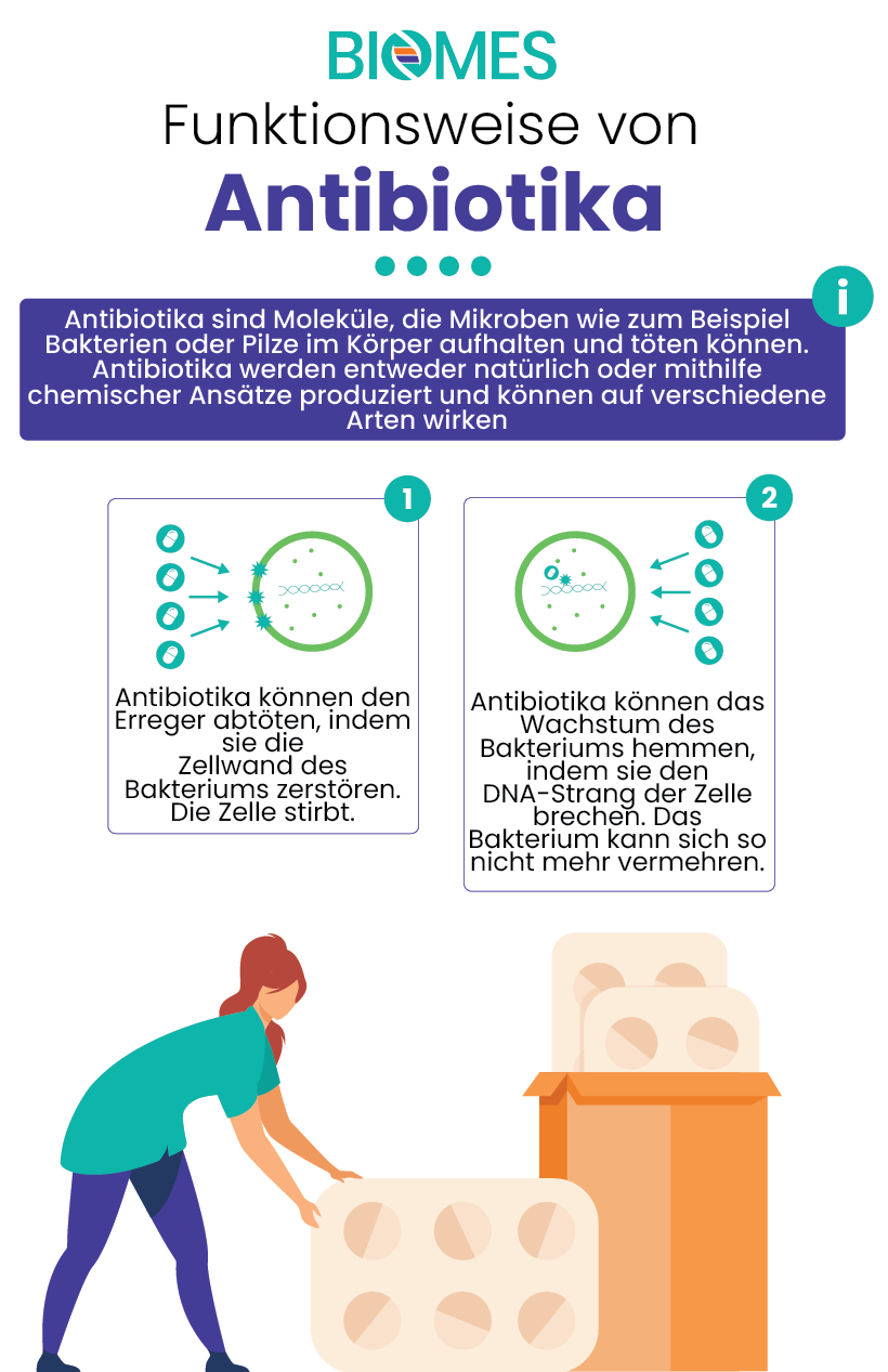 Darmprobleme nach Antibiotika: Was tun? | BIOMES